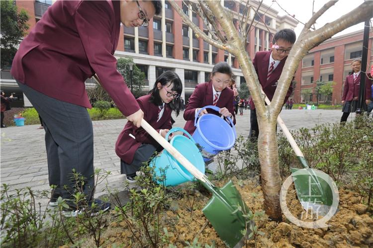 重庆渝北八中最新消息