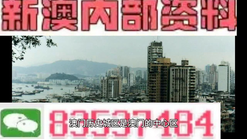 2024-2025年年新澳门全年免费资料大全|香港经典解读落实